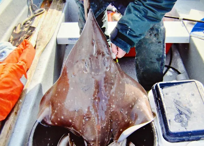 10 Person In Eidsvag-by Traum Vakantiehuis *